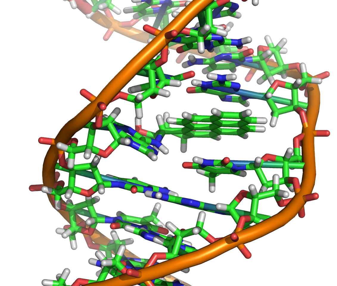 Science, Gender, and Gender Dysphoria