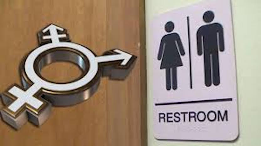 Transgender Bathroom Mandate in the Courts