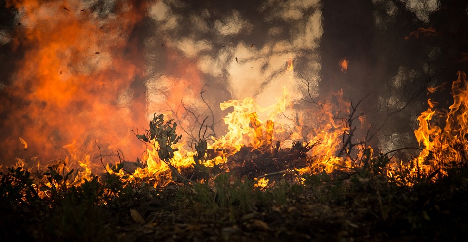 Couples Who Faced the Fire