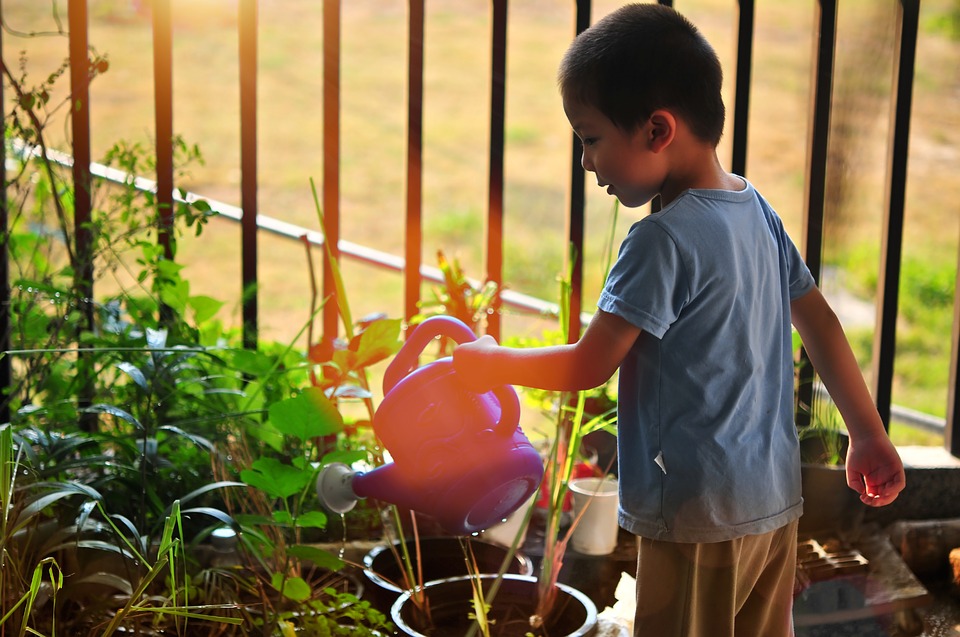 Small and Simple Seeds: How Families Benefit from Gardening