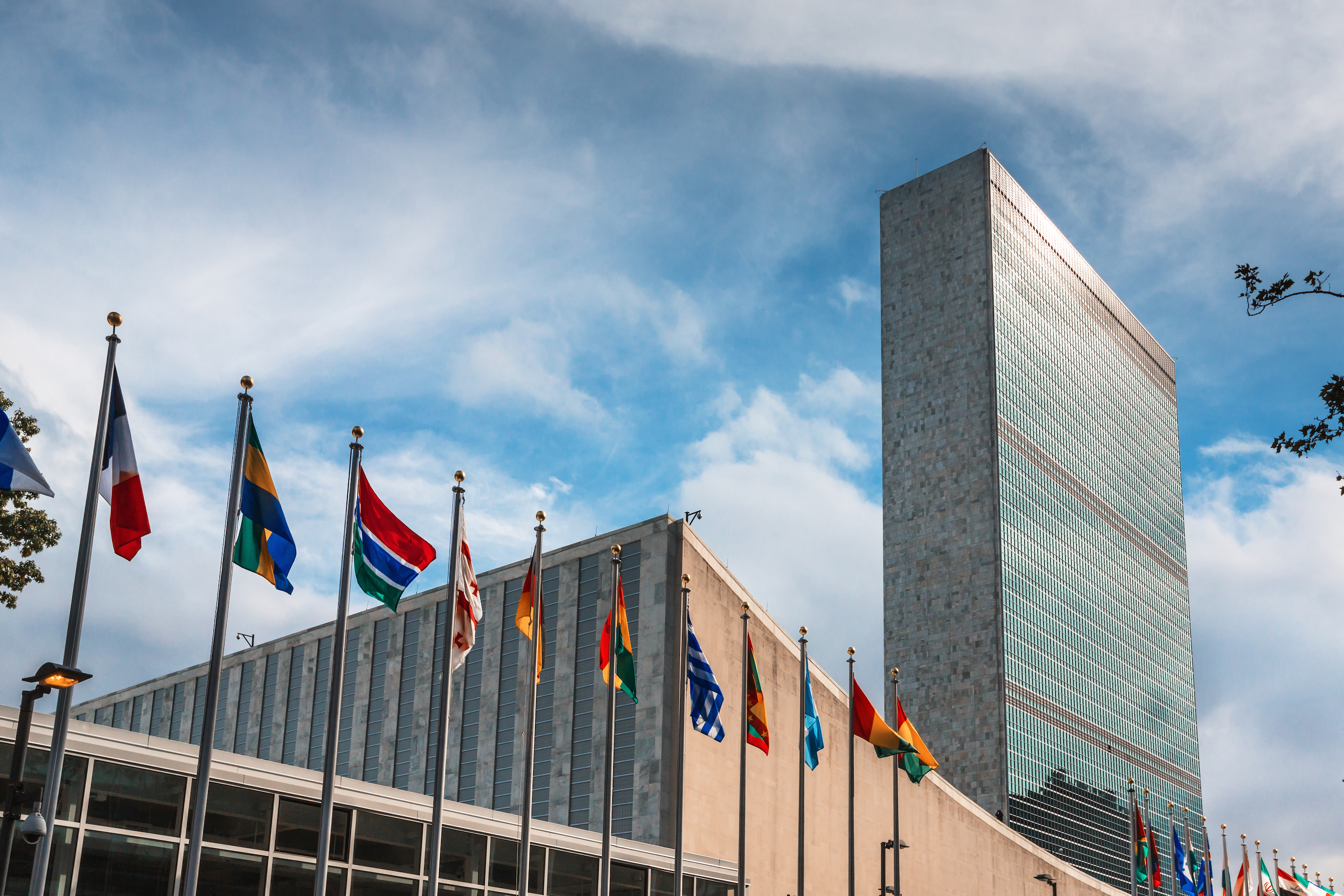 The United Nations and the Family: What does it have to do with you?