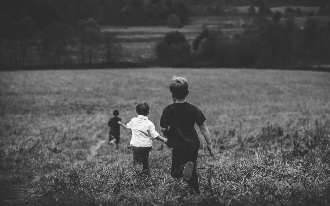 Raising Boys, Saving Girls: The Fatherhood Fix for Boys in Crisis