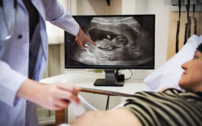 Four States, One Critical Choice: The Battle Over Abortion on November 3